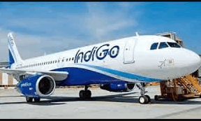 54 indigo
