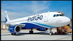 54 indigo