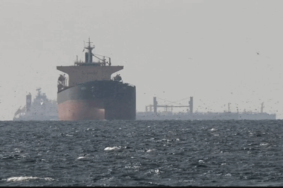 81 oil
