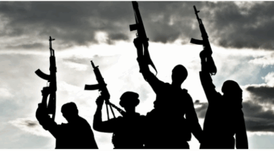 66 terrorists