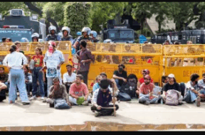 83 delhi
