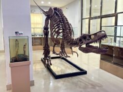 NHM