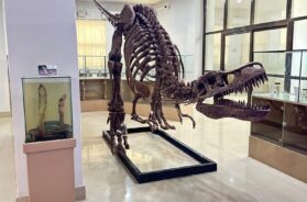 NHM