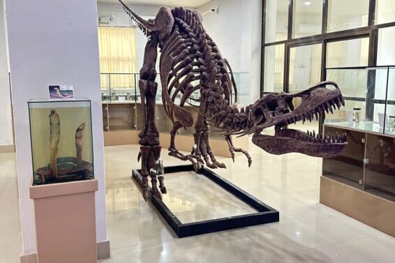 NHM