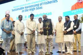 Vice president