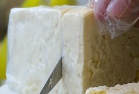 cheese1