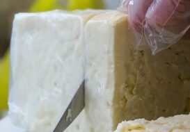 cheese1